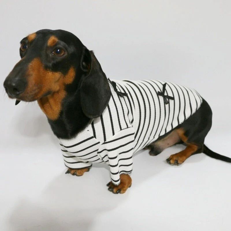 Klassisches bretonisches Dackel Shirt