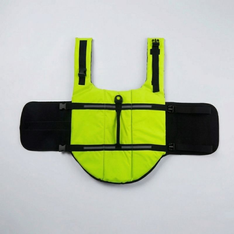 Classic Dachshund Swimming Vest