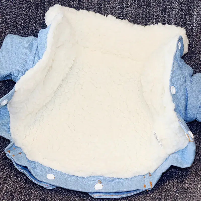 Dackel Jeansjacke mit Fell