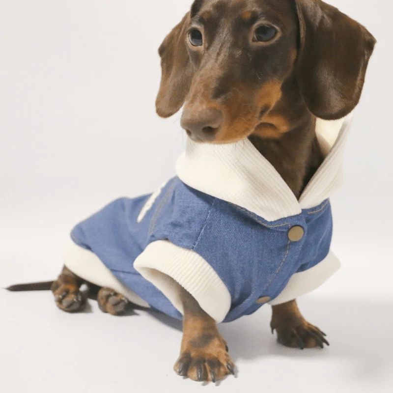 Chaqueta Vaquera RockStar para Perros Salchicha