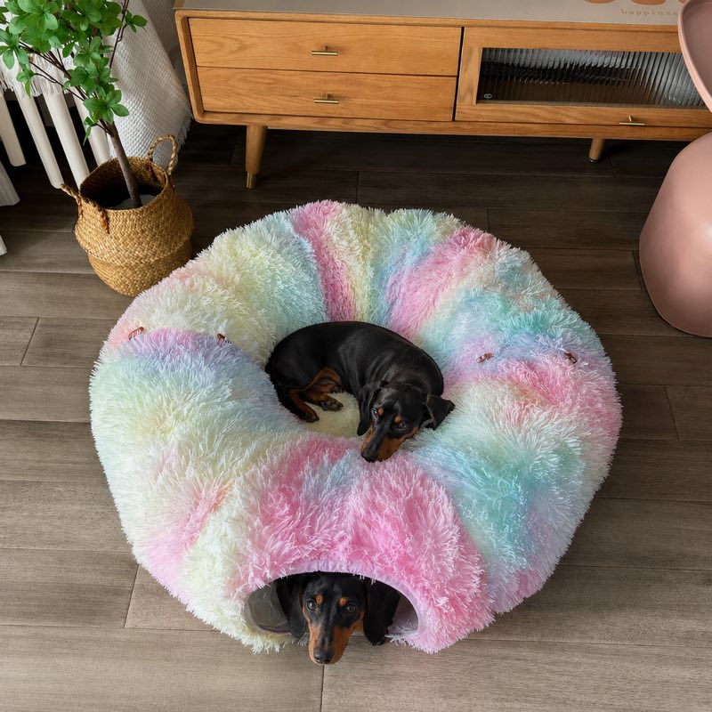 Dachshund using the rainbow plush tunnel bed