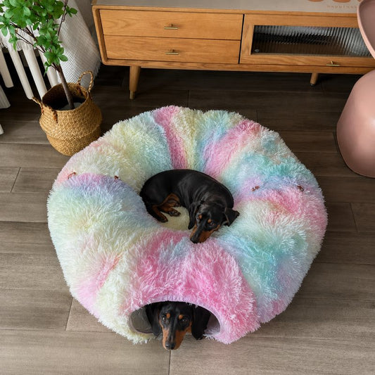 Dachshund using the rainbow plush tunnel bed