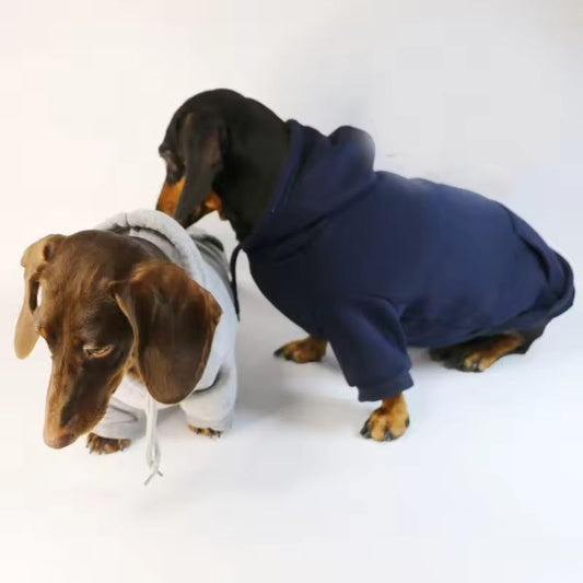 Basic Dachshund Hoodie