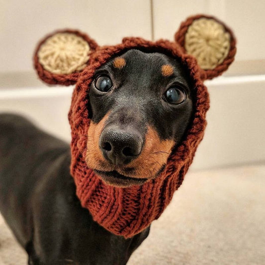 Bear Dachshund Hat For Dogs