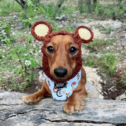 Bear Dachshund Hat For Dogs