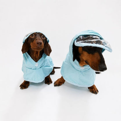 Blue Dachshund Raincoat