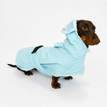 Blue Dachshund Raincoat