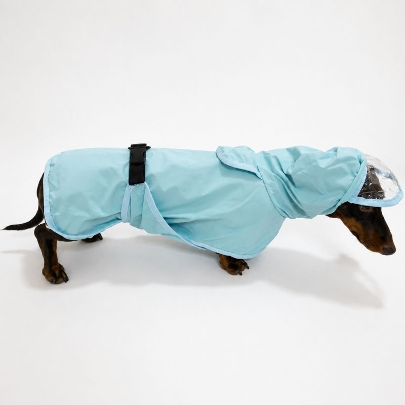 Blue Dachshund Raincoat