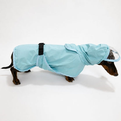 Blue Dachshund Raincoat
