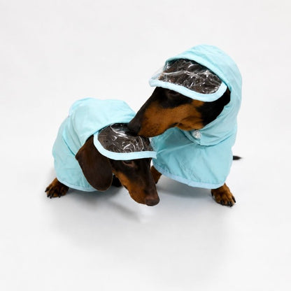 Blue Dachshund Raincoat