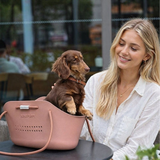 BonePup Dachshund Portable Carrier