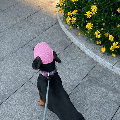 Breathable Mesh Dachshund Sun Hat