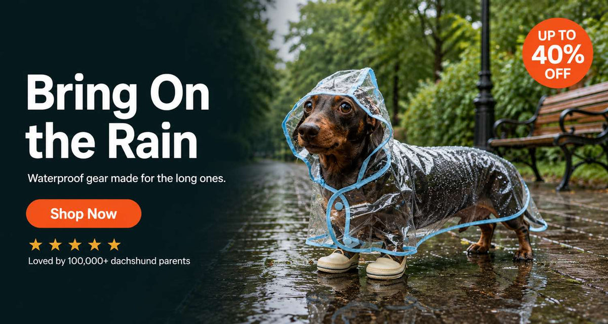 Bring On the Rain desktop banner