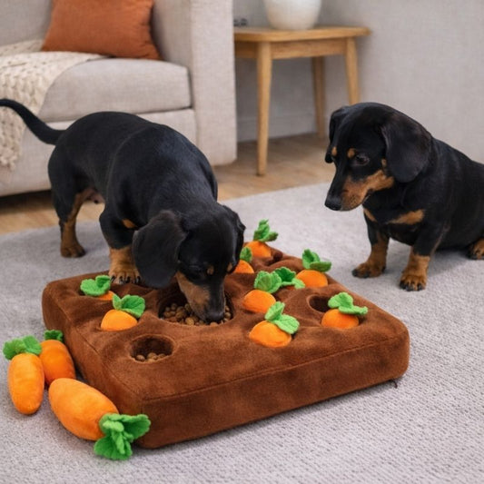 Carrot Plush Interactive Dachshund Toy