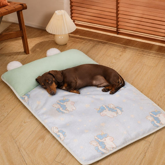 Dachshund lifestyle