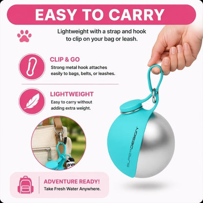 Dachshund ChillSip Water Bottle