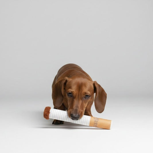 Cigarette Dachshund Toy
