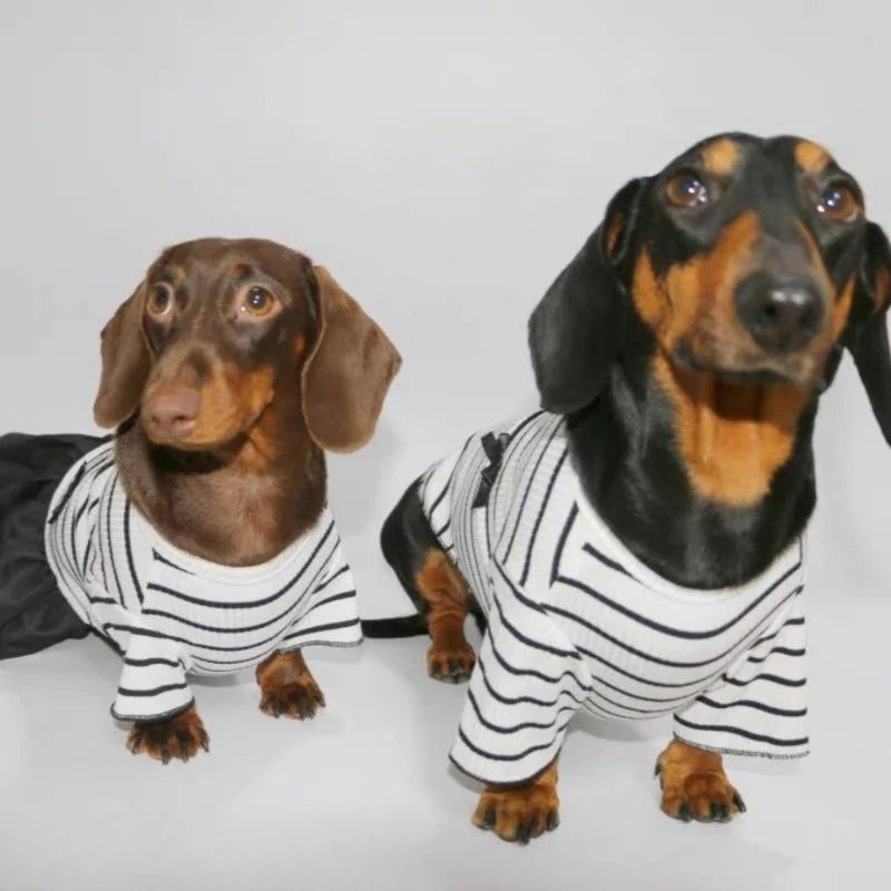Klassisches bretonisches Dackel Shirt