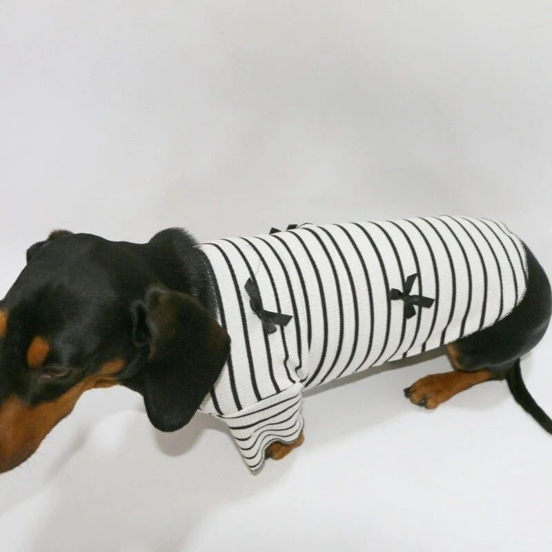 Klassisches bretonisches Dackel Shirt