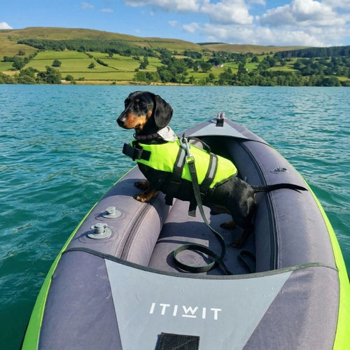 Classic Dachshund Swimming Vest