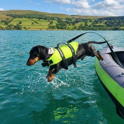 Classic Dachshund Swimming Vest