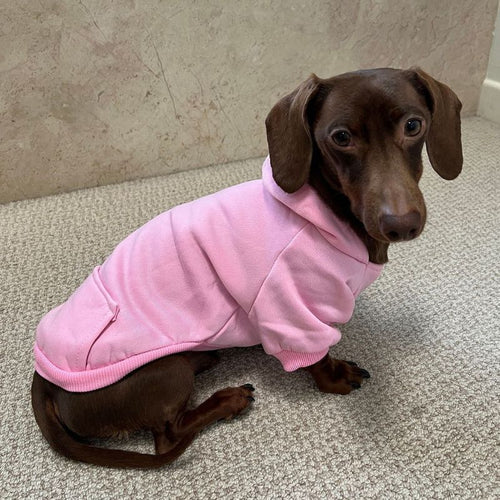 Klassischer Dackel Hoodie