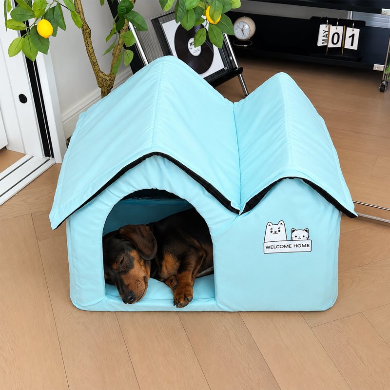 Mint Blue cooling house with dachshund inside