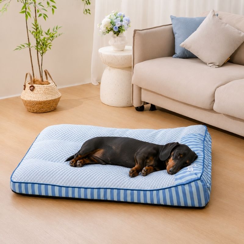 Cooling Orthopedic Dachshund Bed