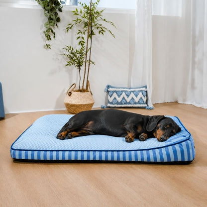 Cooling Orthopedic Dachshund Bed