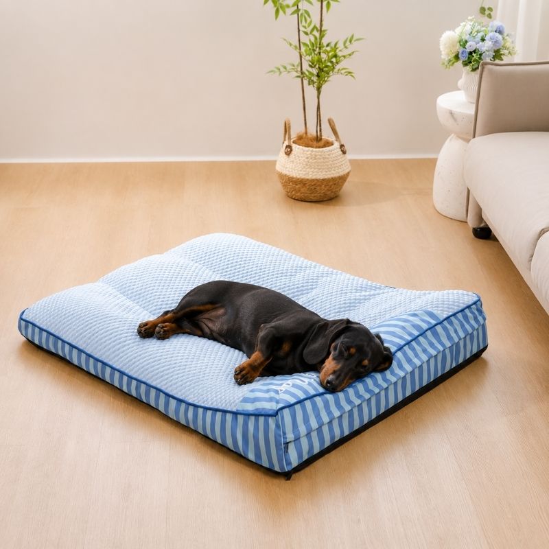 Cooling Orthopedic Dachshund Bed