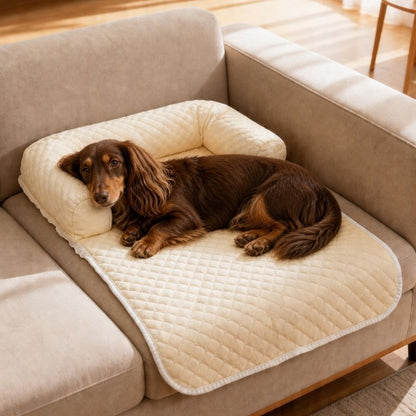 Cooling Summer Dachshund Sofa