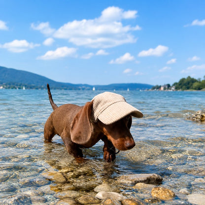 Dachshund wearing khaki corduroy summer cap at the beach