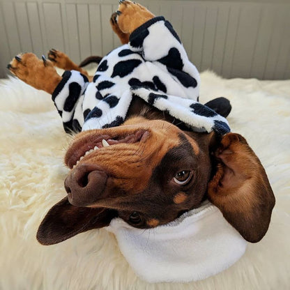 Cow Dachshund Costume