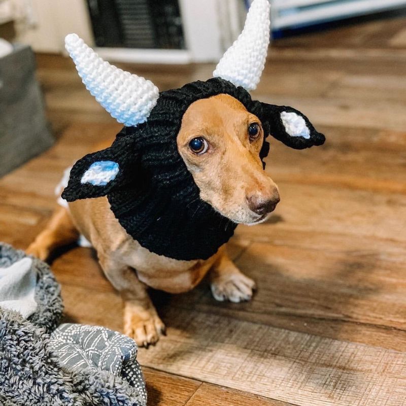 Cow Dachshund Halloween Hat