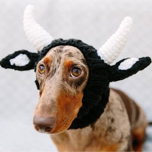 Cow Dachshund Halloween Hat