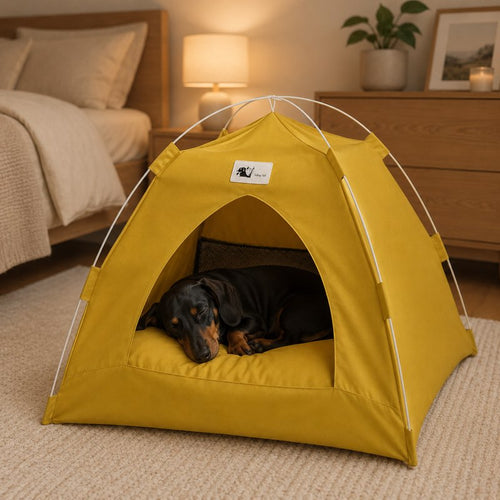 Dachshund napping inside Cozy Dachshund Tent House