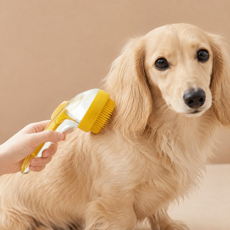 Dachshund Bathing Brush bath time
