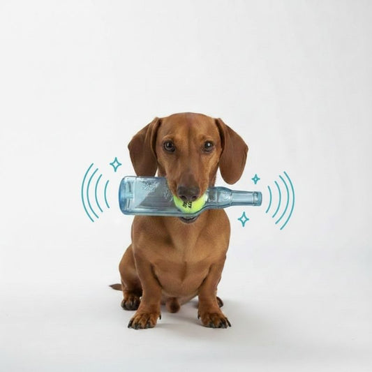 Dachshund Bite Bottle