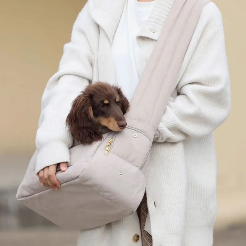 Dachshund Calm Tragetasche