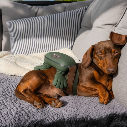 Dachshund Calm Massager