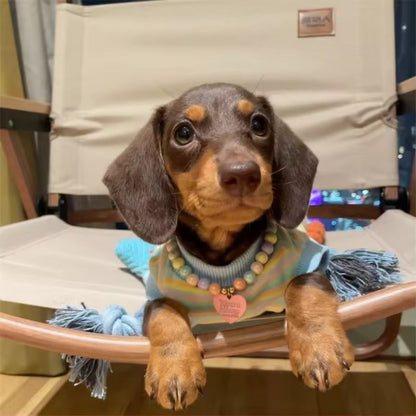 Dachshund Shirt mit Streifen