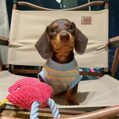 Dachshund Shirt mit Streifen