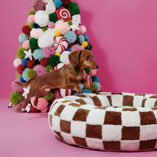 Dachshund Checkmate Bed