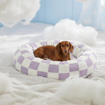 Dachshund Checkmate Bett