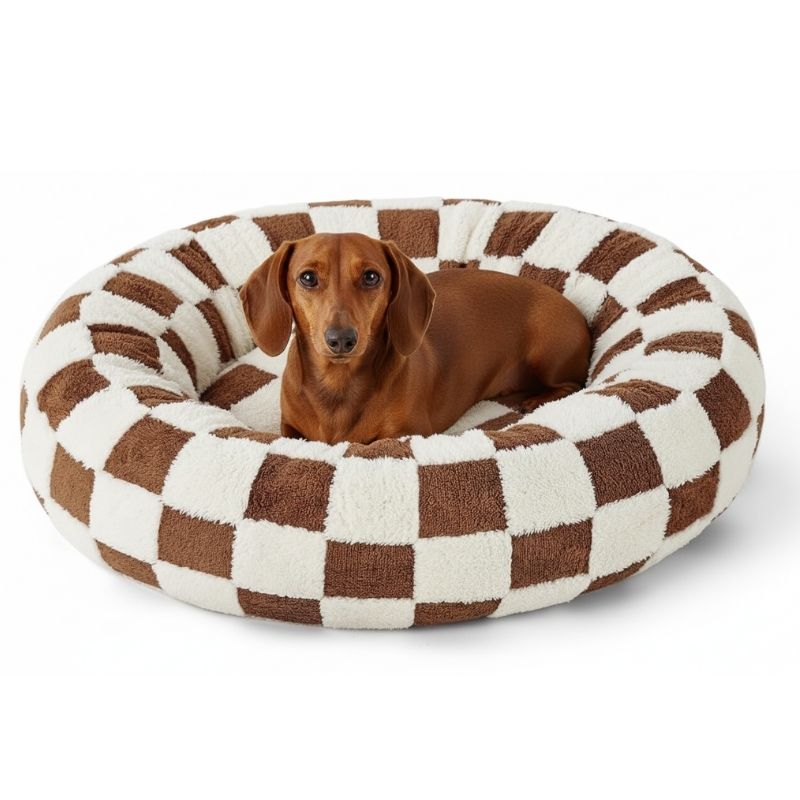 Dachshund Checkmate Bett