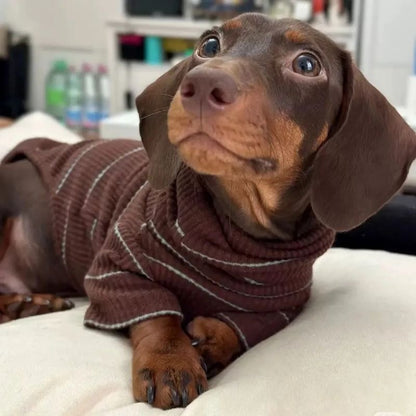 Dachshund geripptes Shirt in Kakao
