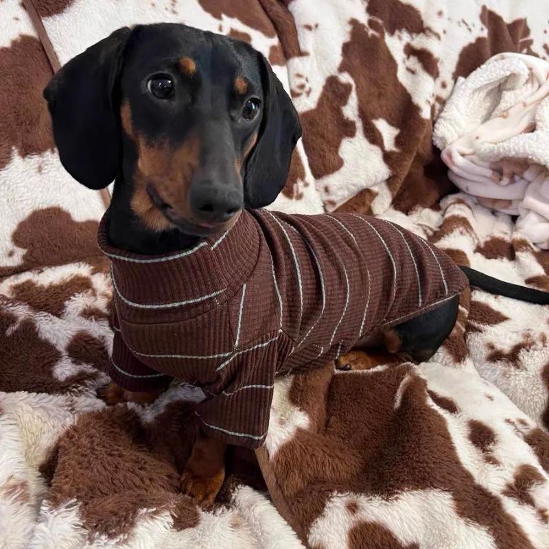 Dachshund geripptes Shirt in Kakao