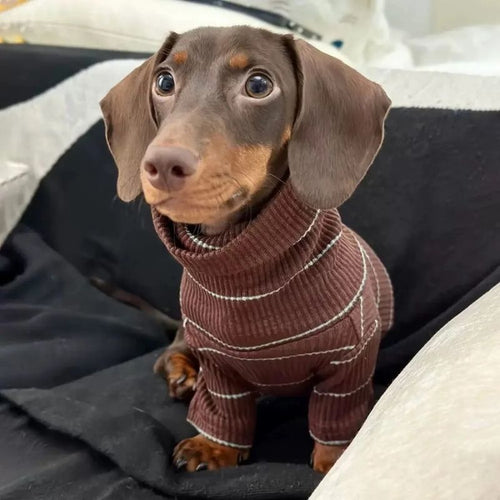 Dachshund geripptes Shirt in Kakao