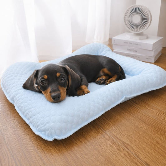 Dachshund puppy lying on the blue cooling nest bed