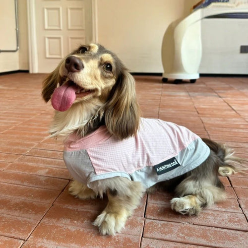 Dachshund Cooling Sleeveless Shirt